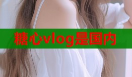 糖心vlog是國內(nèi)