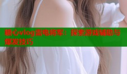 糖心vlog雷電將軍：探索游戲輔助與爆發(fā)技巧