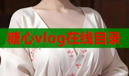 糖心vlog在線目錄