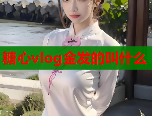 糖心vlog金發(fā)的叫什么